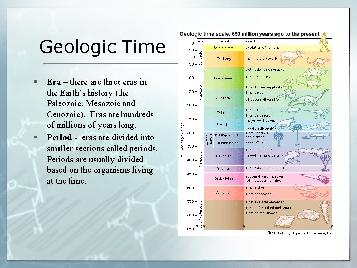 Geologic Time § § Era – there are three eras in the Earth’s history