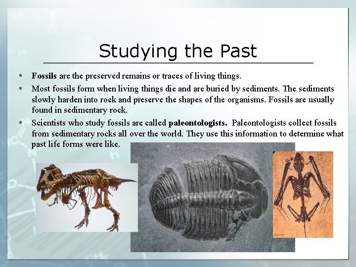 Studying the Past § § § Fossils are the preserved remains or traces of