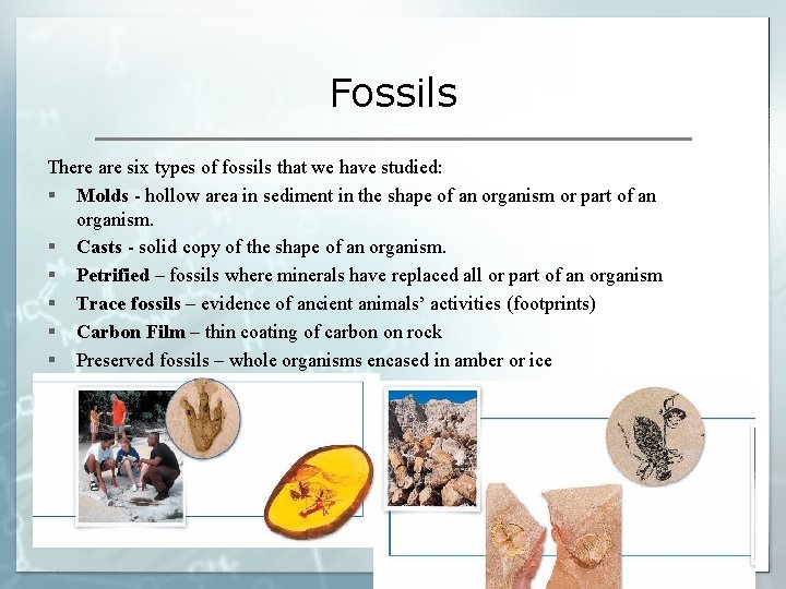 Fossils There are six types of fossils that we have studied: § Molds -