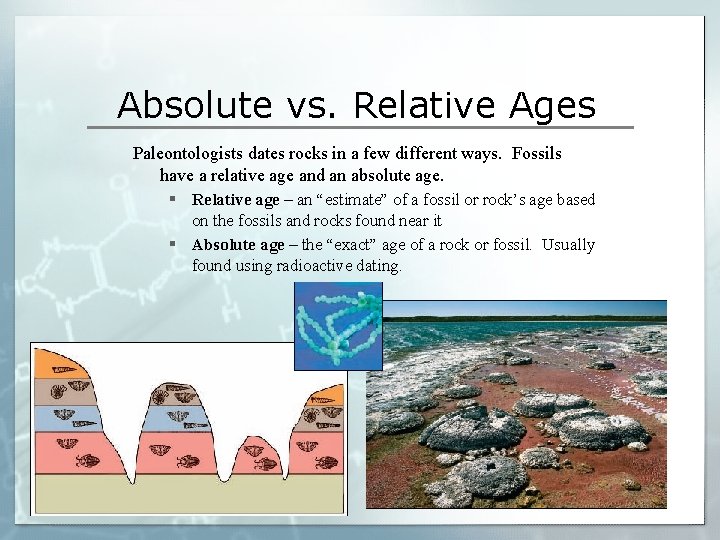 Absolute vs. Relative Ages Paleontologists dates rocks in a few different ways. Fossils have