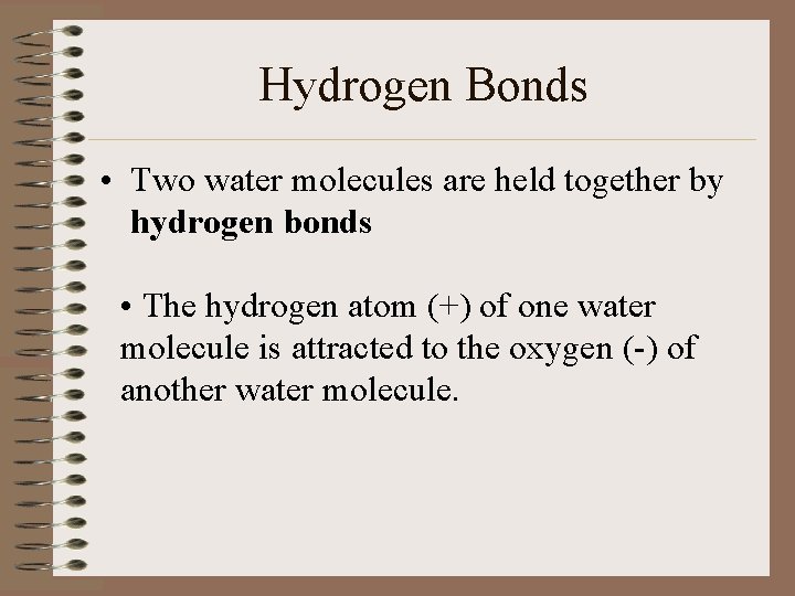 Hydrogen Bonds • Two water molecules are held together by hydrogen bonds • The