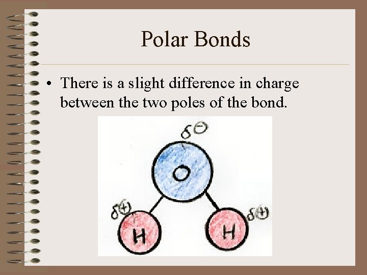Polar Bonds • There is a slight difference in charge between the two poles