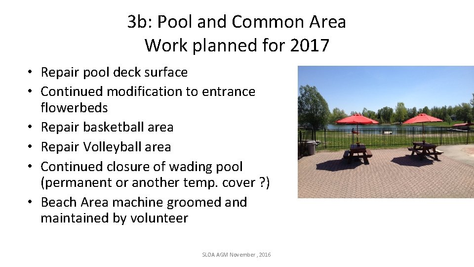 3 b: Pool and Common Area Work planned for 2017 • Repair pool deck