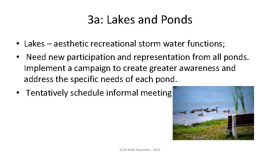 3 a: Lakes and Ponds • Lakes – aesthetic recreational storm water functions; •