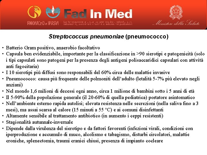 Streptococcus pneumoniae (pneumococco) • Batterio Gram positivo, anaerobio facoltativo • Capsula ben evidenziabile, importante