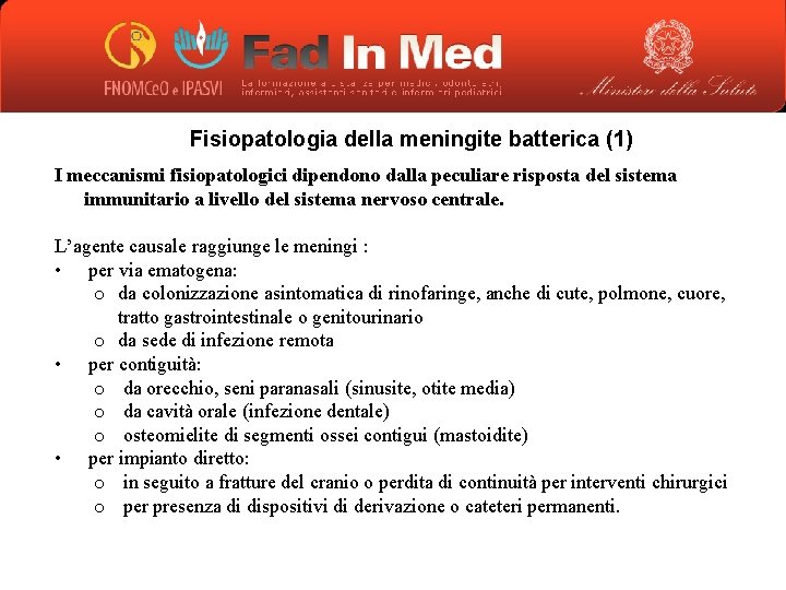 Fisiopatologia della meningite batterica (1) I meccanismi fisiopatologici dipendono dalla peculiare risposta del sistema