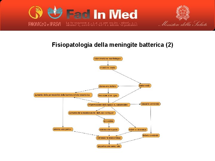 Fisiopatologia della meningite batterica (2) 