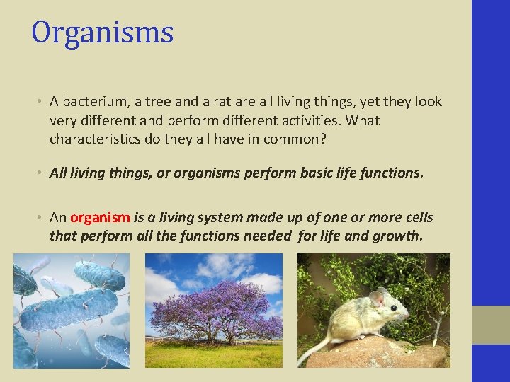 Organisms • A bacterium, a tree and a rat are all living things, yet