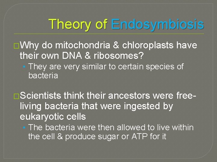 Theory of Endosymbiosis �Why do mitochondria & chloroplasts have their own DNA & ribosomes?