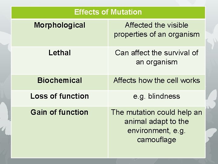 Effects of Mutation Morphological Affected the visible properties of an organism Lethal Can affect