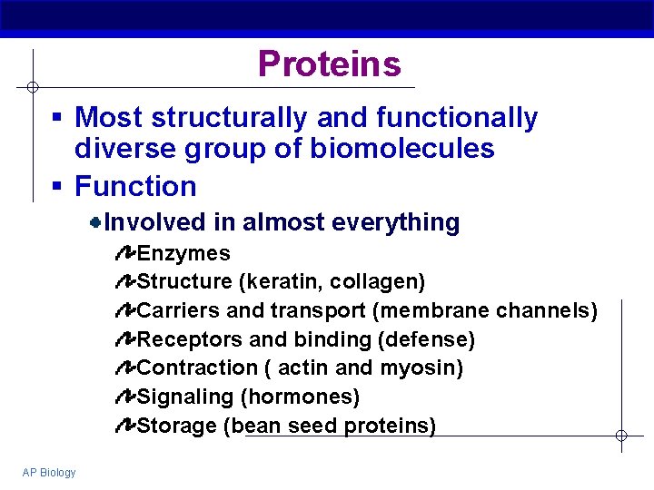 Proteins § Most structurally and functionally diverse group of biomolecules § Function Involved in