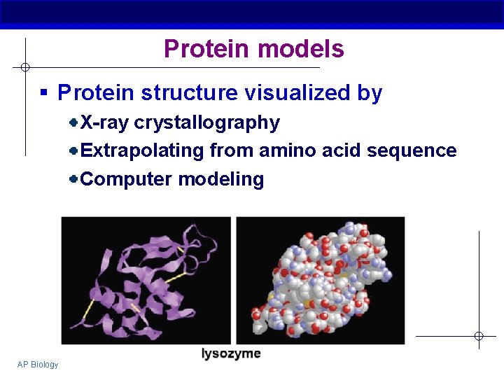Protein models § Protein structure visualized by X-ray crystallography Extrapolating from amino acid sequence