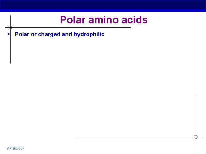 Polar amino acids § Polar or charged and hydrophilic AP Biology 