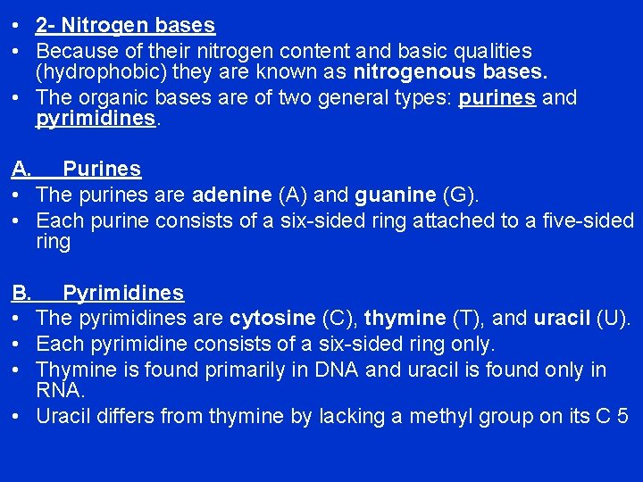  • 2 - Nitrogen bases • Because of their nitrogen content and basic
