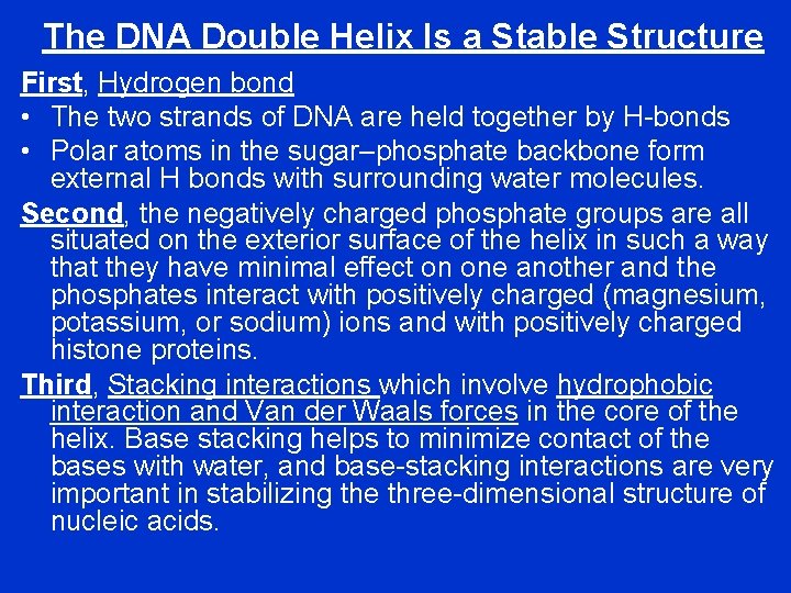 The DNA Double Helix Is a Stable Structure First, Hydrogen bond • The two