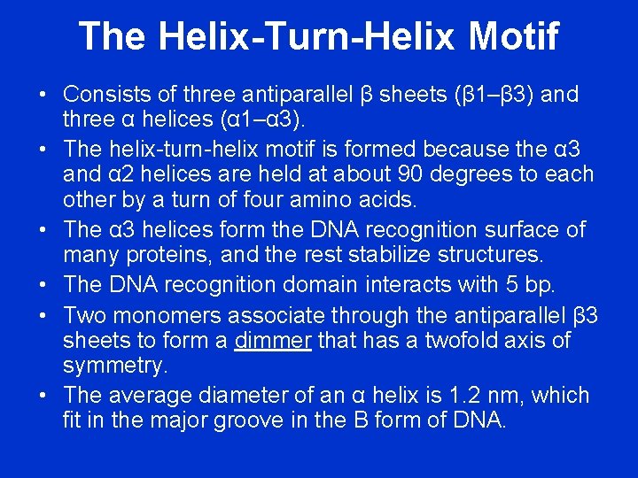The Helix-Turn-Helix Motif • Consists of three antiparallel β sheets (β 1–β 3) and