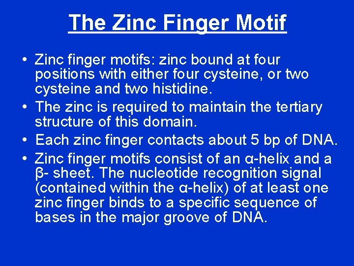 The Zinc Finger Motif • Zinc finger motifs: zinc bound at four positions with