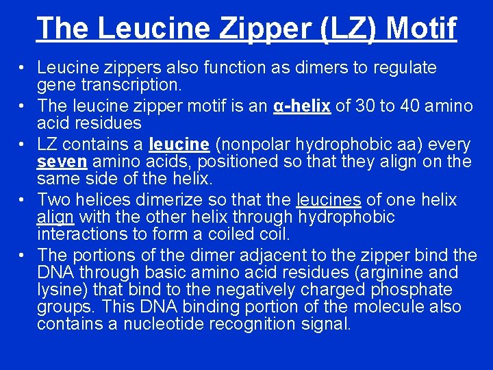 The Leucine Zipper (LZ) Motif • Leucine zippers also function as dimers to regulate