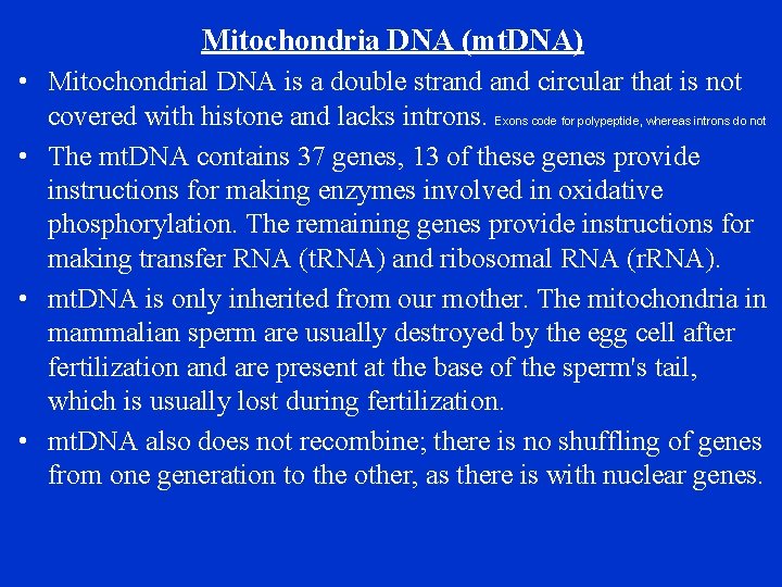 Mitochondria DNA (mt. DNA) • Mitochondrial DNA is a double strand circular that is
