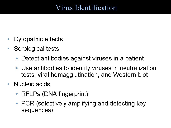 Virus Identification • Cytopathic effects • Serological tests • Detect antibodies against viruses in
