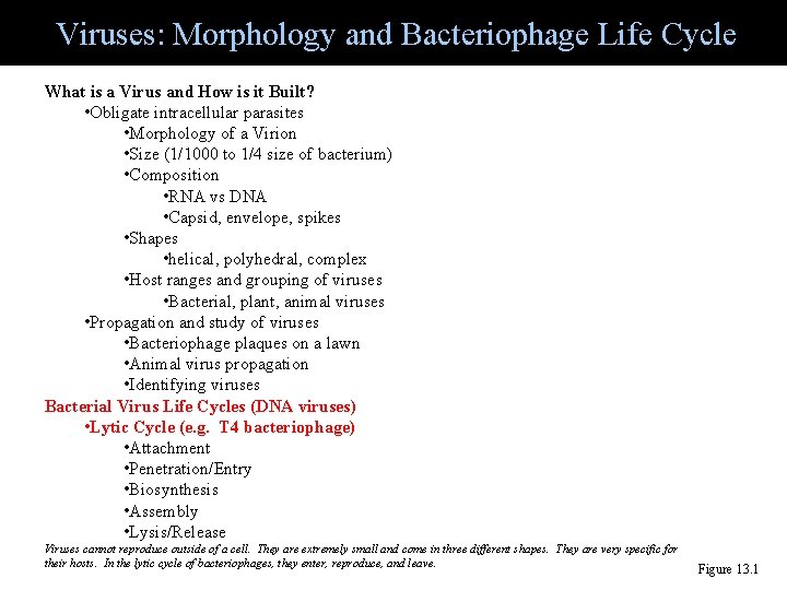 Viruses: Morphology and Bacteriophage Life Cycle What is a Virus and How is it