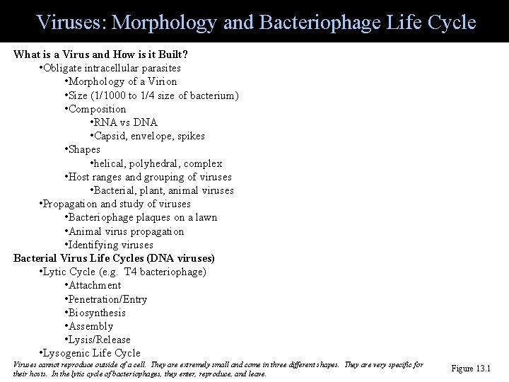Viruses: Morphology and Bacteriophage Life Cycle What is a Virus and How is it
