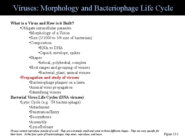 Viruses: Morphology and Bacteriophage Life Cycle What is a Virus and How is it