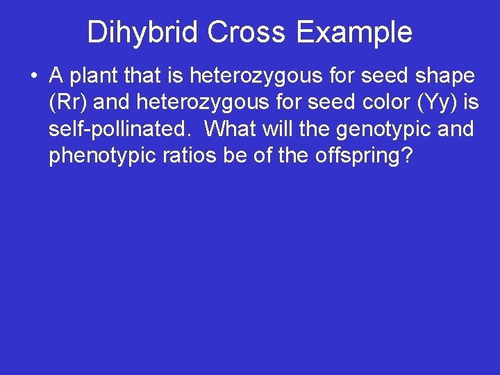 Dihybrid Cross Example • A plant that is heterozygous for seed shape (Rr) and