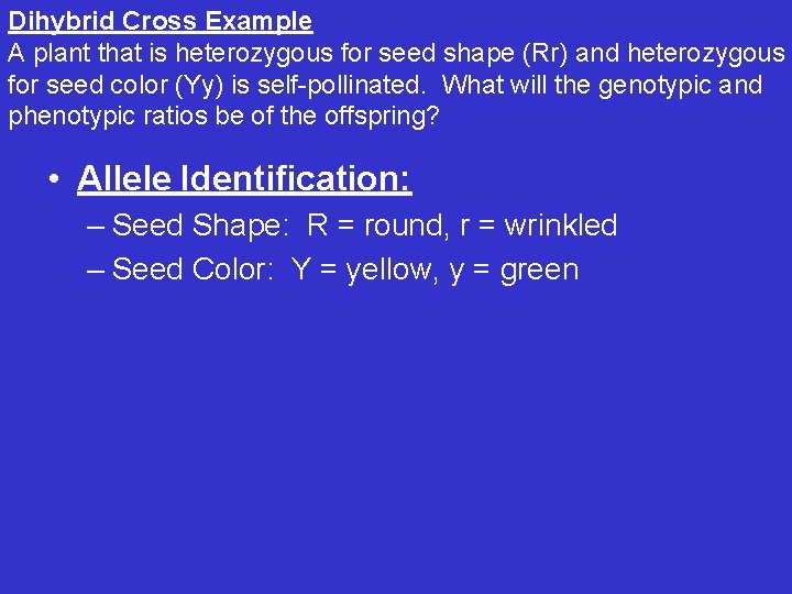 Dihybrid Cross Example A plant that is heterozygous for seed shape (Rr) and heterozygous