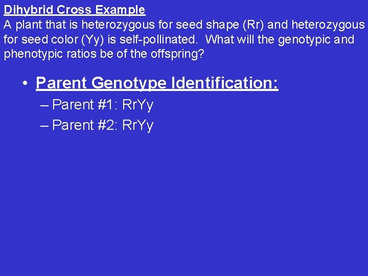 Dihybrid Cross Example A plant that is heterozygous for seed shape (Rr) and heterozygous