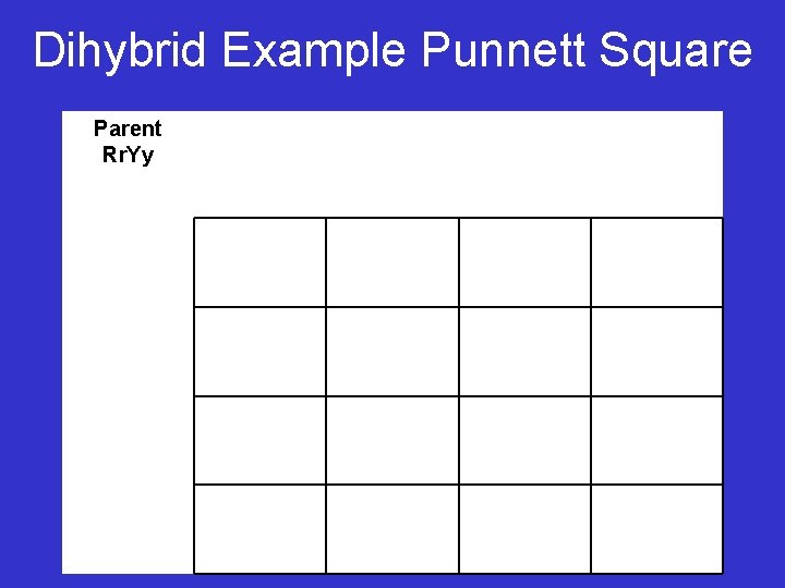 Dihybrid Example Punnett Square Parent Rr. Yy 