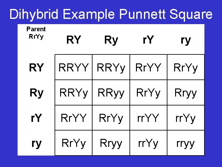 Dihybrid Example Punnett Square Parent Rr. Yy RY Ry r. Y ry RY RRYy