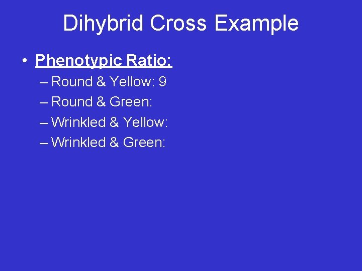 Dihybrid Cross Example • Phenotypic Ratio: – Round & Yellow: 9 – Round &