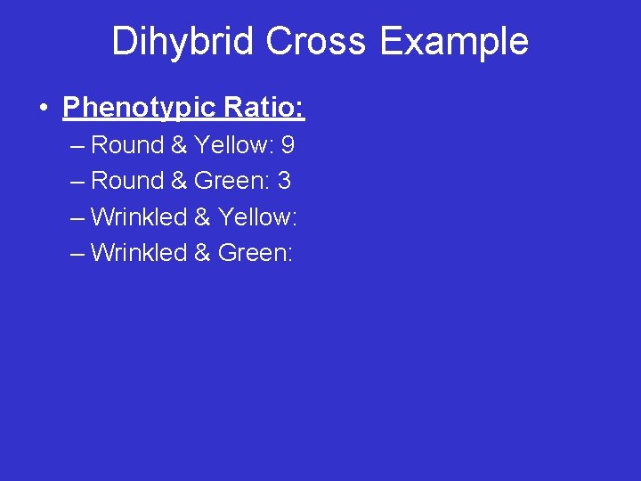 Dihybrid Cross Example • Phenotypic Ratio: – Round & Yellow: 9 – Round &