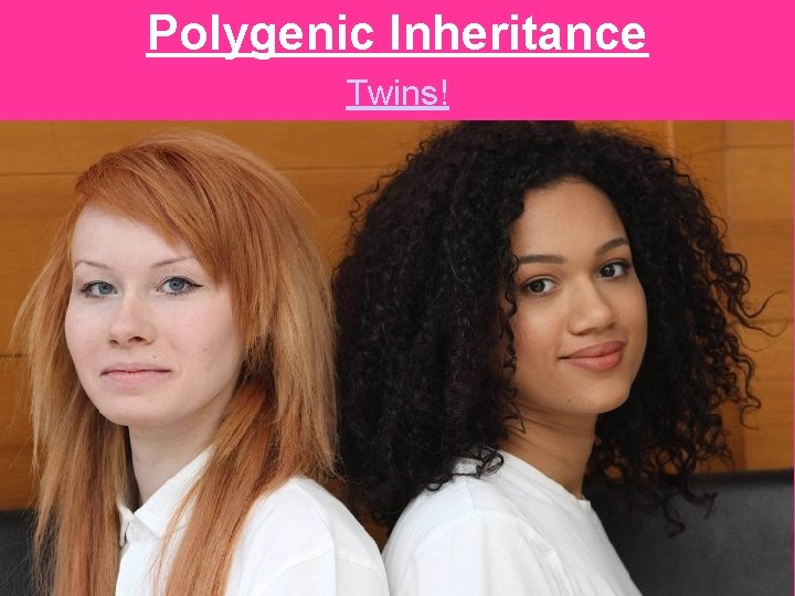 Polygenic Inheritance Twins! 