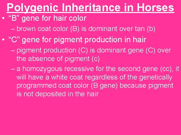 Polygenic Inheritance in Horses • “B” gene for hair color – brown coat color