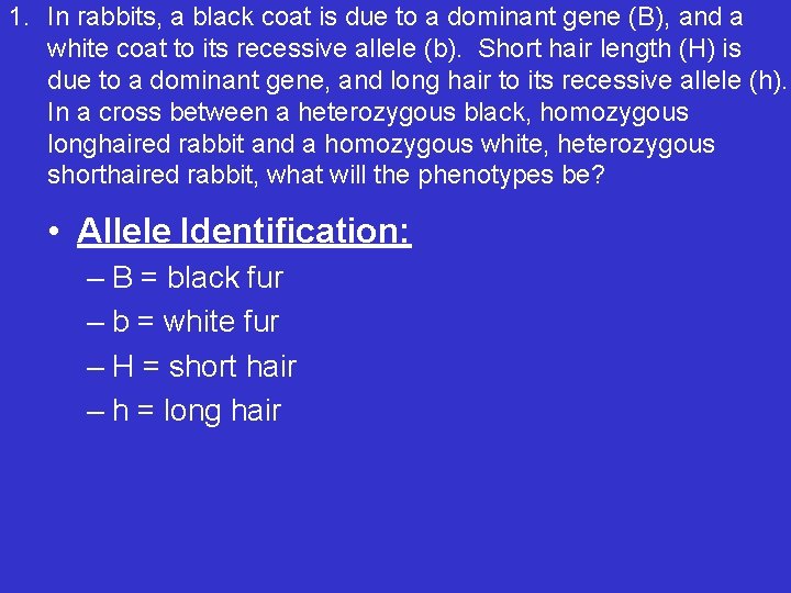 1. In rabbits, a black coat is due to a dominant gene (B), and