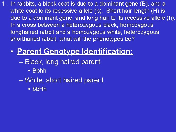 1. In rabbits, a black coat is due to a dominant gene (B), and