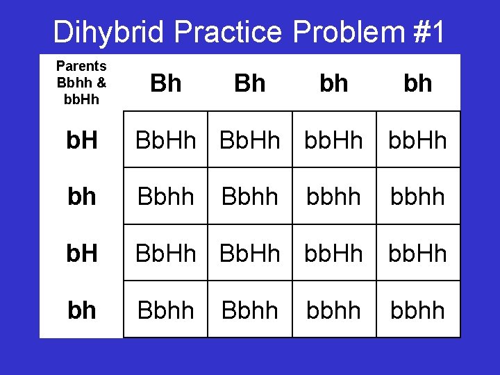 Dihybrid Practice Problem #1 Parents Bbhh & bb. Hh Bh Bh bh bh b.