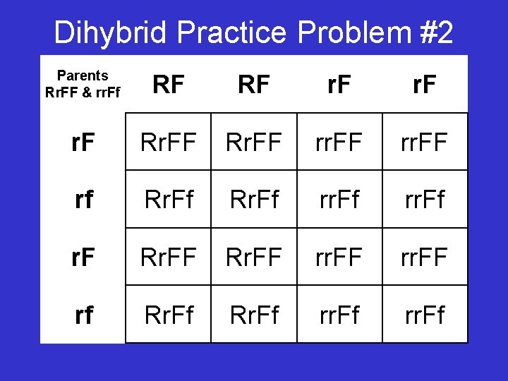 Dihybrid Practice Problem #2 Parents Rr. FF & rr. Ff RF RF r. F