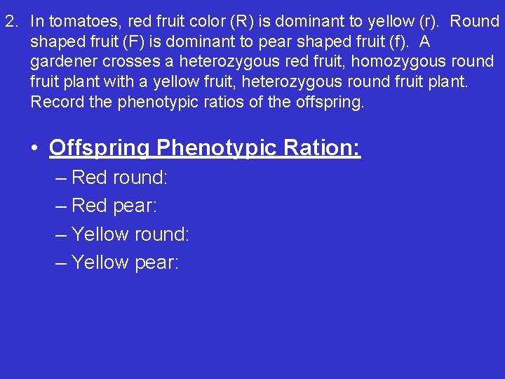 2. In tomatoes, red fruit color (R) is dominant to yellow (r). Round shaped