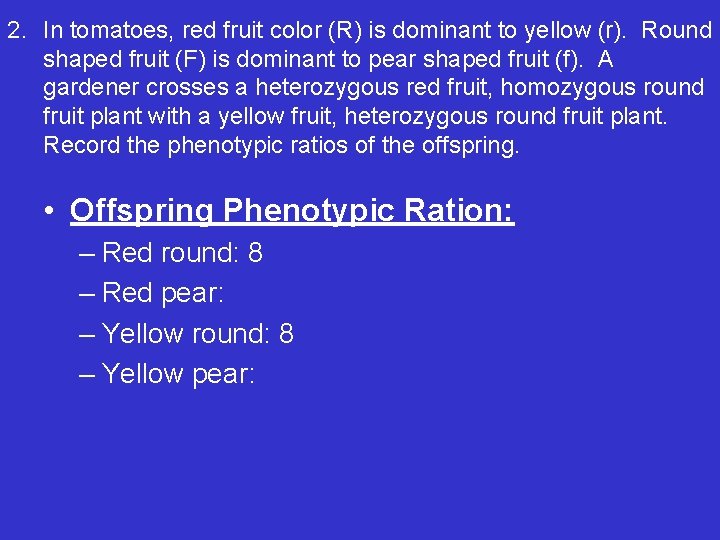 2. In tomatoes, red fruit color (R) is dominant to yellow (r). Round shaped