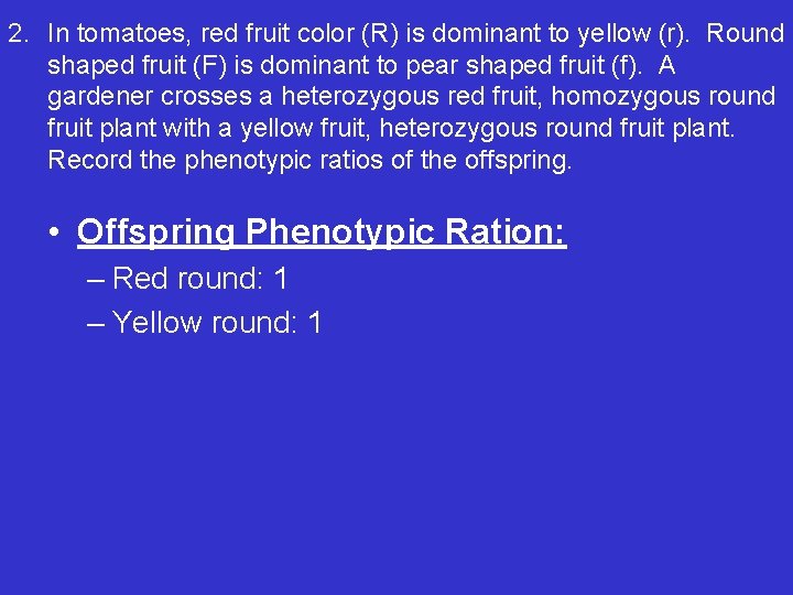 2. In tomatoes, red fruit color (R) is dominant to yellow (r). Round shaped