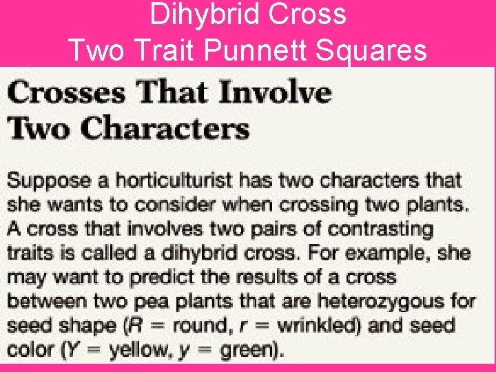 Dihybrid Cross Two Trait Punnett Squares 