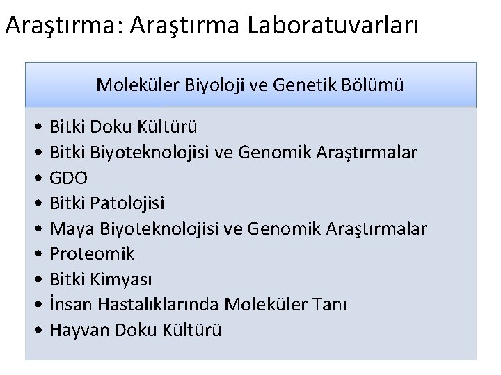 Araştırma: Araştırma Laboratuvarları Moleküler Biyoloji ve Genetik Bölümü • Bitki Doku Kültürü • Bitki