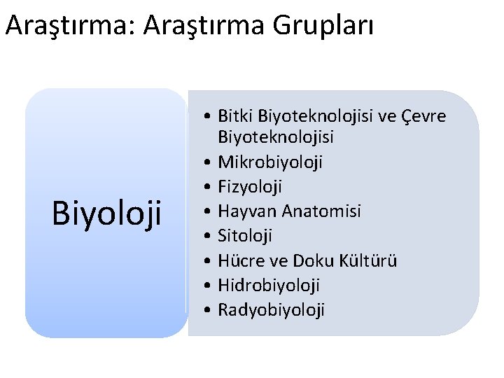 Araştırma: Araştırma Grupları Biyoloji • Bitki Biyoteknolojisi ve Çevre Biyoteknolojisi • Mikrobiyoloji • Fizyoloji