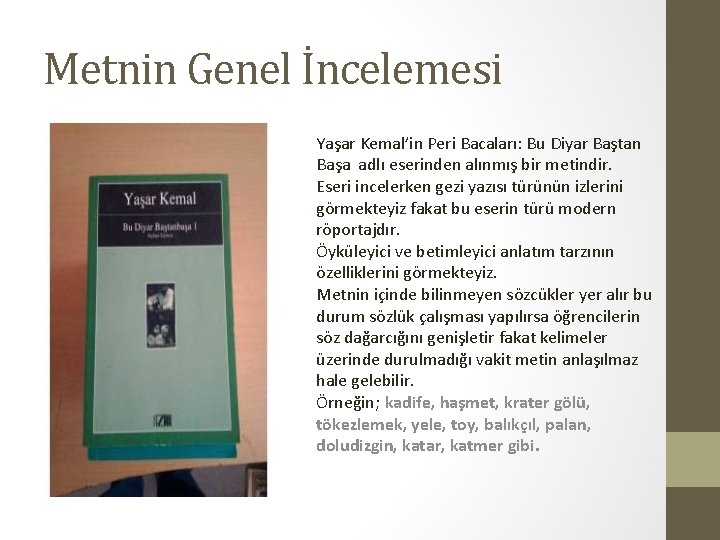 Metnin Genel İncelemesi Yaşar Kemal’in Peri Bacaları: Bu Diyar Baştan Başa adlı eserinden alınmış