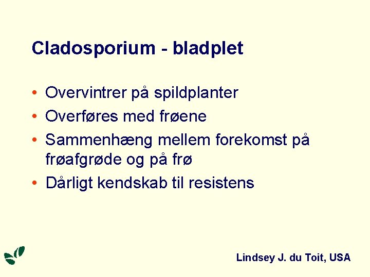 Cladosporium - bladplet • Overvintrer på spildplanter • Overføres med frøene • Sammenhæng mellem