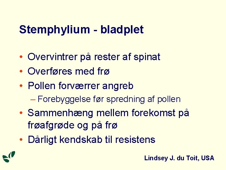 Stemphylium - bladplet • Overvintrer på rester af spinat • Overføres med frø •