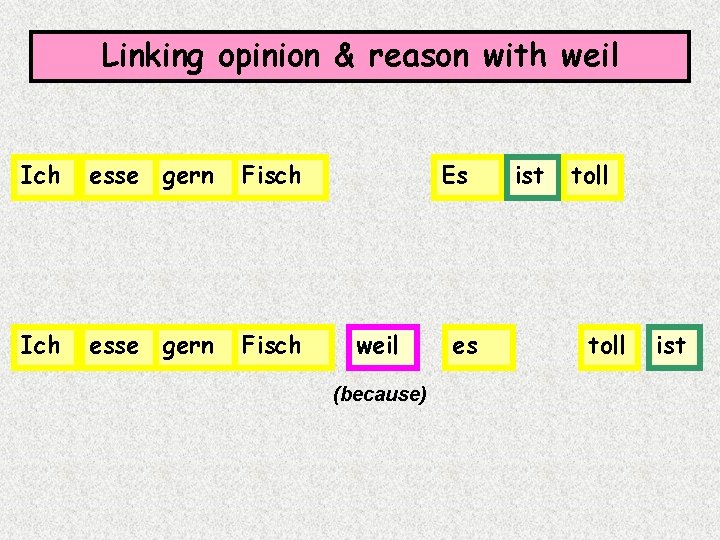 Linking opinion & reason with weil Ich esse gern Fisch Es weil (because) es